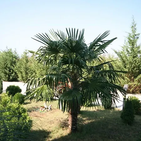 Apartament With A Parking Space Stranici, - 7105